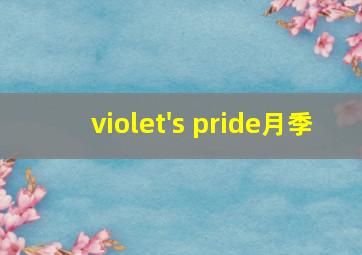 violet's pride月季